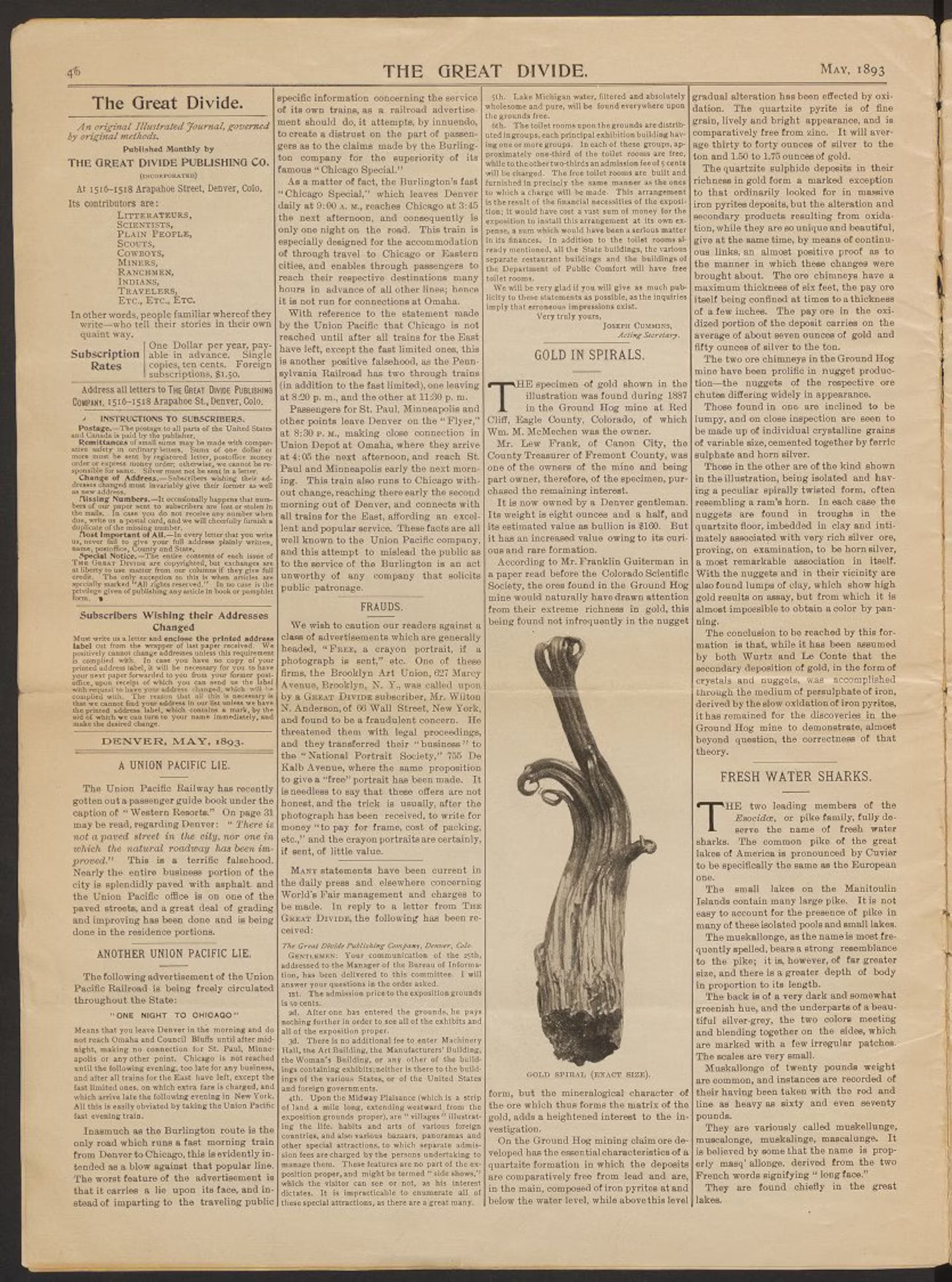 An 1893 page from The Great Divide titled &lsquo;Gold in Spirals,&rsquo; with an engraving of a spiral wire-gold specimen from Colorado