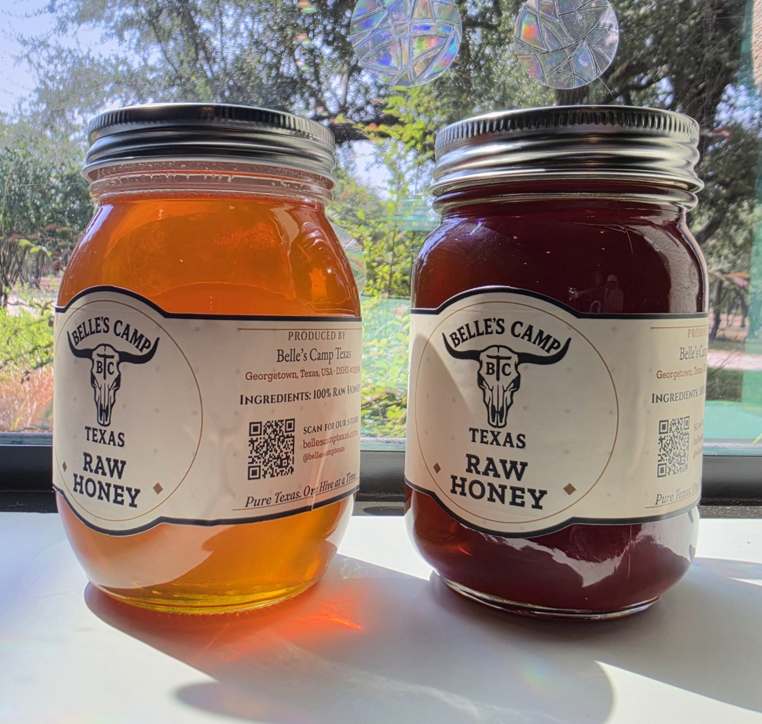Two jars of Belle's Camp raw honey backlit on a windowsill: the first harvest a light golden, the second a deep dark amber.
